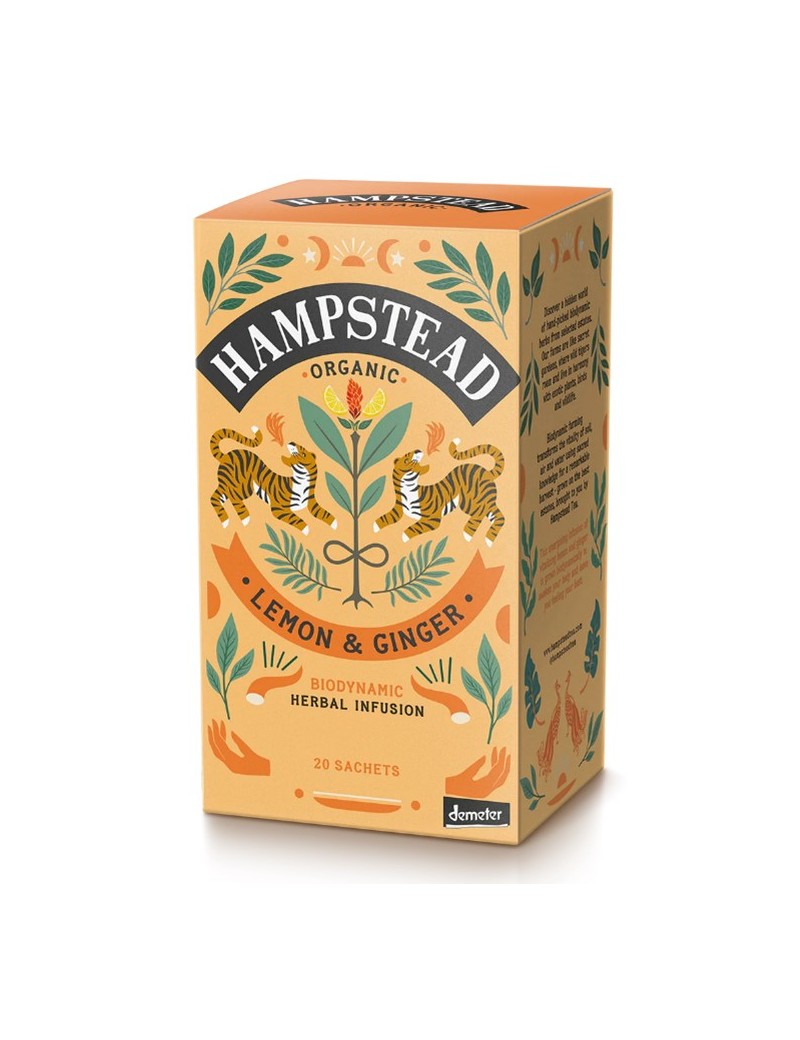 Hampstead Tea Citroen-Gember Bio 20 zakjes